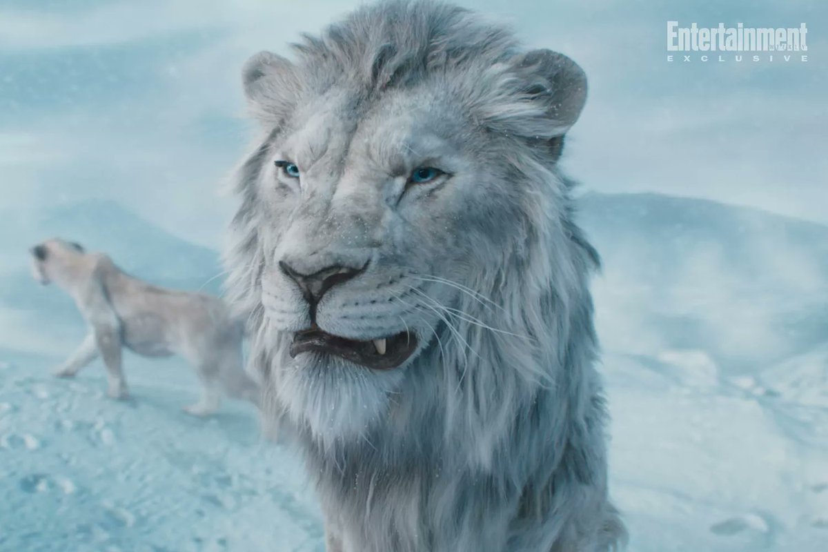 Fdmdarkshadow's tweet photo. That handsome man plays the villain Kiros the formidable white lion in the upcoming #Mufasa The Lion King movie releasing on December 20th..
Tickets go on sale on 18th November https://t.co/XlifzB70uh