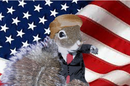 What do you know about Sugar Bush Squirrel <a href="/IOHK_Charles/">Charles Hoskinson</a> ?