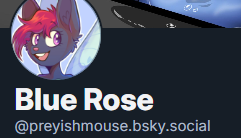 Blue Rose (preyishmouse.bsky.social) tweet media