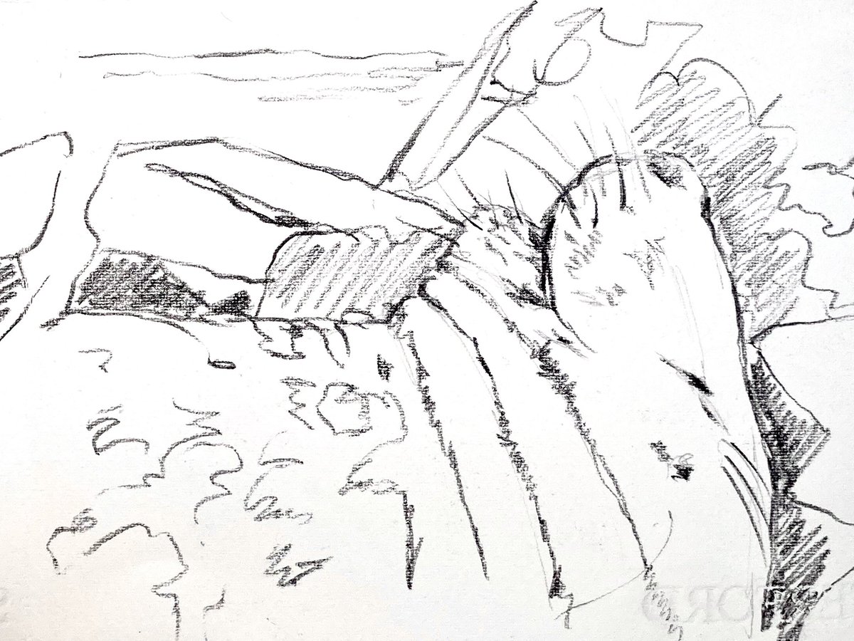 Alice Angus tweet media