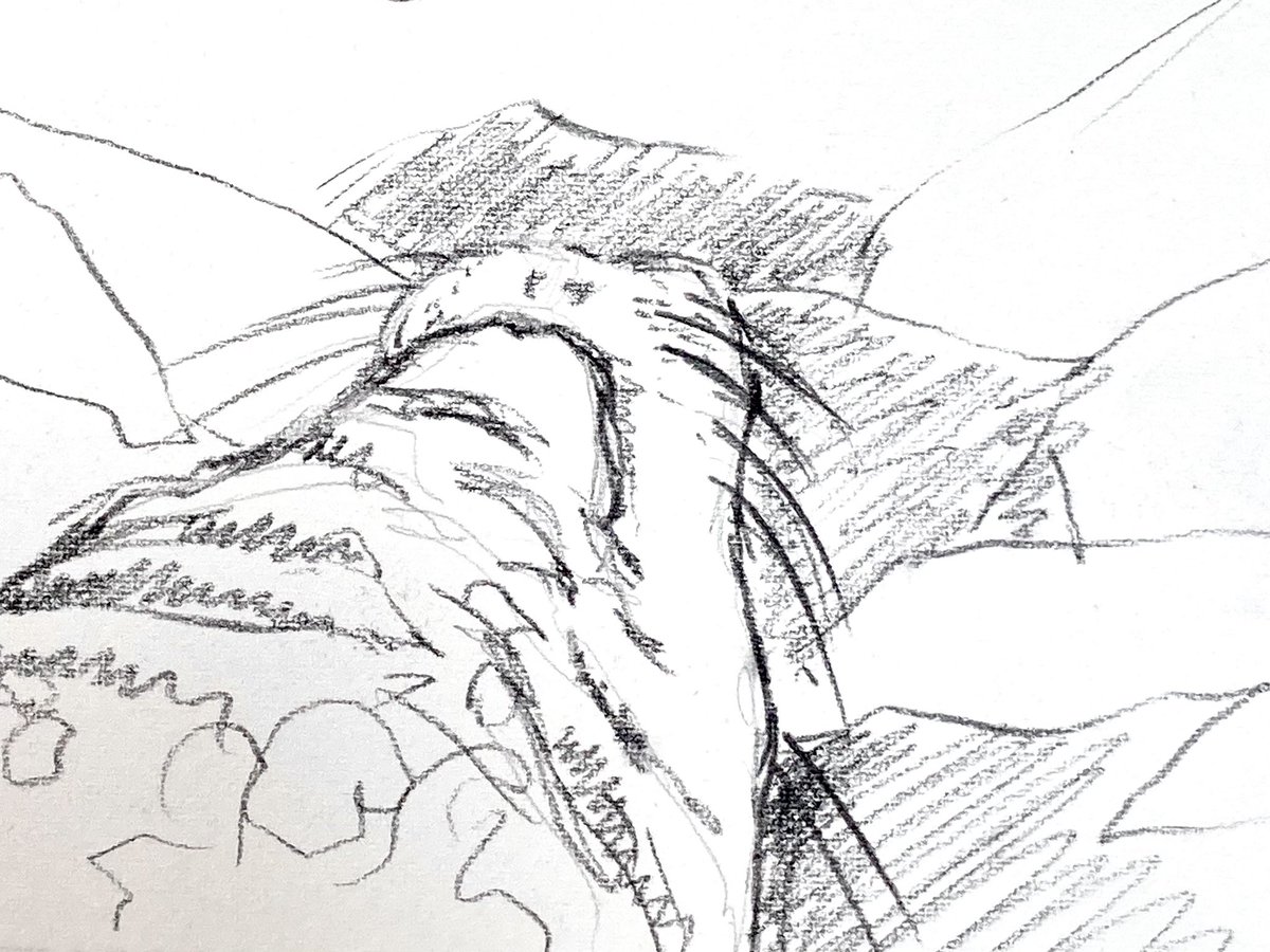 Alice Angus tweet media