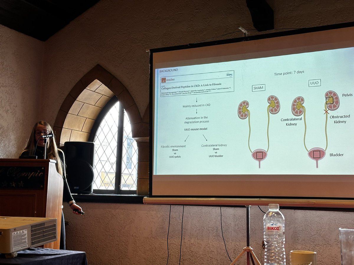 Teresa Frattini our Disco-I (disco-1.eu) PhD student presenting at our annual meeting in Athens. 👏 #collagen #fibrosis #kidney