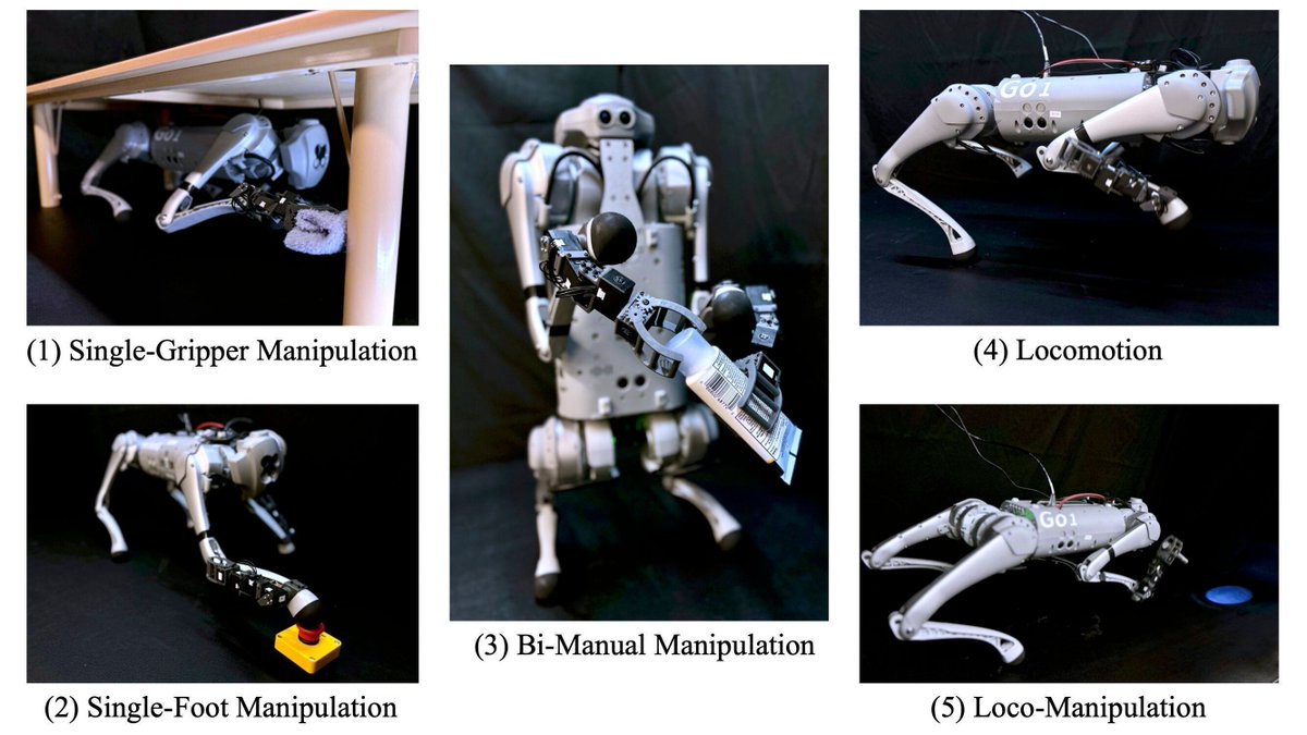 ipfconline (@ipfconline1) on Twitter photo A dexterous four-legged #robot that can walk and handle objects simultaneously
buff.ly/3Q9HWn5 via @techxplore_com
#MachineLearning #AI #Robotics
Cc <a href="/pierrepinna/">Pinna Pierre</a> <a href="/HaroldSinnott/">Harold Sinnott 📲</a> <a href="/dinisguarda/">Dinis Guarda</a> <a href="/JoannMoretti/">Joanne Moretti.</a> <a href="/ahier/">Brian Ahier</a> <a href="/tewoz/">Eric T.</a> <a href="/Ym78200/">Yann Marchand</a> A dexterous four-legged #robot that can walk and handle objects simultaneously
buff.ly/3Q9HWn5 via @techxplore_com
#MachineLearning #AI #Robotics
Cc <a href="/pierrepinna/">Pinna Pierre</a> <a href="/HaroldSinnott/">Harold Sinnott 📲</a> <a href="/dinisguarda/">Dinis Guarda</a> <a href="/JoannMoretti/">Joanne Moretti.</a> <a href="/ahier/">Brian Ahier</a> <a href="/tewoz/">Eric T.</a> <a href="/Ym78200/">Yann Marchand</a>