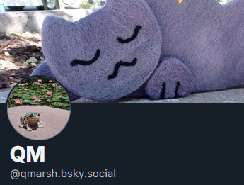 QuantumMirage's tweet photo. been there for a hot second but figured I ought to post, come find meeeee https://t.co/IHsZXrSSA5