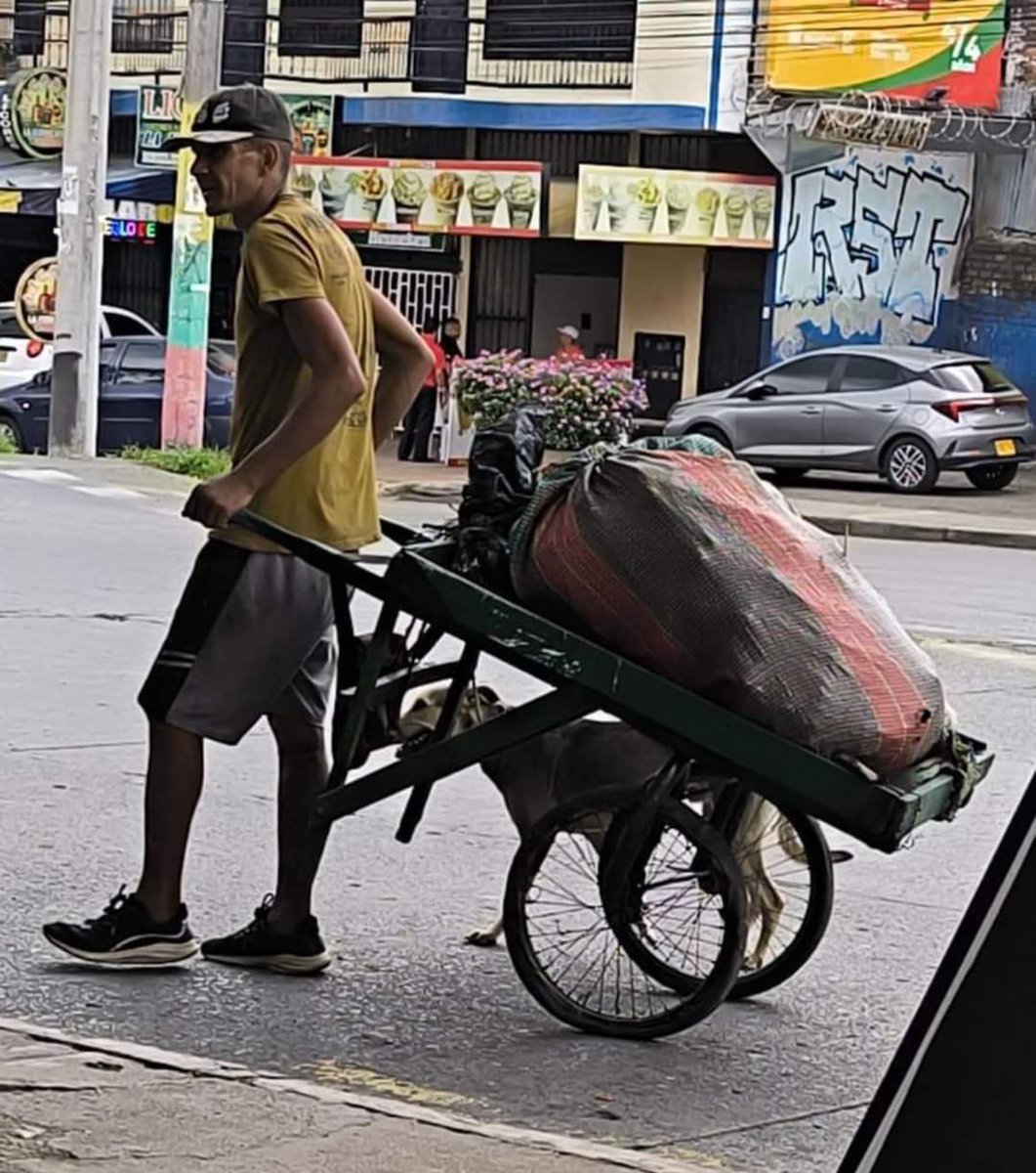Amorososcol's tweet photo. MÁXIMA DIFUSIÓN 

Esta persona en condición de calle tiene a esta perrita y la GOLPEA CON FRECUENCIA, se busca apoyo para QUITÁRSELA ya que saca CUCHILLO 

La policía no ayuda

@andreanimalidad  @oajm993 https://t.co/vq0ECDPBir