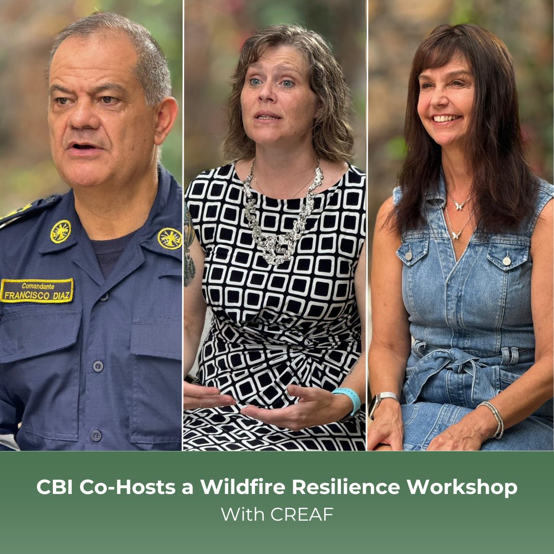 Conservation Biology Institute tweet media