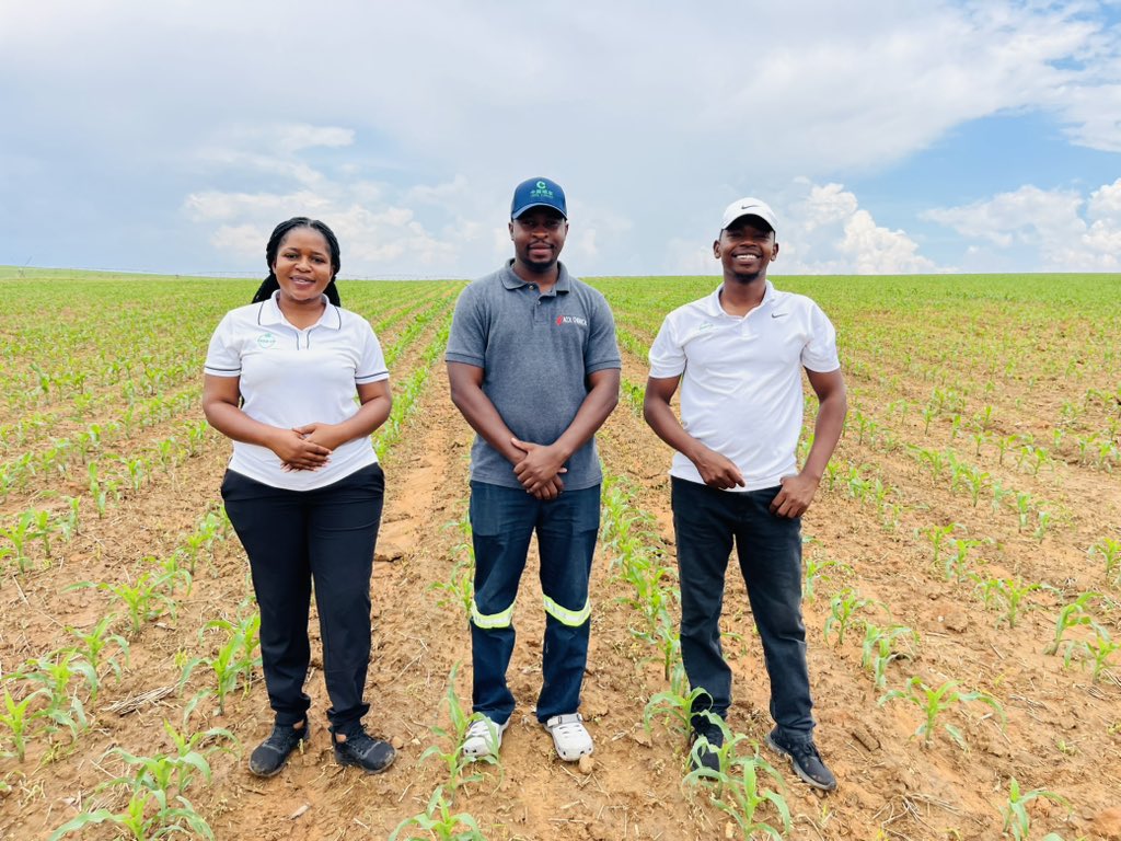 PoteDior's tweet photo. Planning , execution & commitment raise a crop. This is an 🐘SC 719 🐘crop from @SeedCoZimbabwe established end of October in Rafingora,Zimbabwe. A fertile soil alone does not take agriculture to perfection. It takes great effort and planning…good variety selection,proper GAPs. Fall Army control follows……..