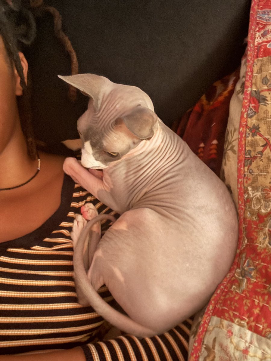 The way my cat <a href="/NeptuneOnyedike/">Neptune Onyedike the Cat</a> loves my daughter <a href="/AnyaOkorafor/">slim chungus</a> brings me joy. 😊