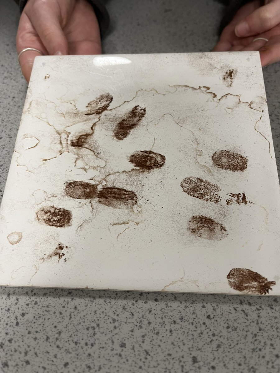 Ms Diamond tweet media