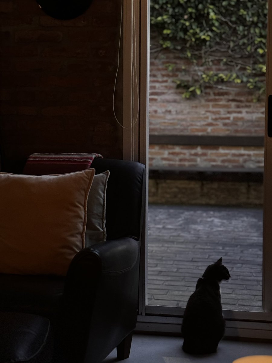 Diego Sanchez (@sohoshiatsu) on Twitter photo 