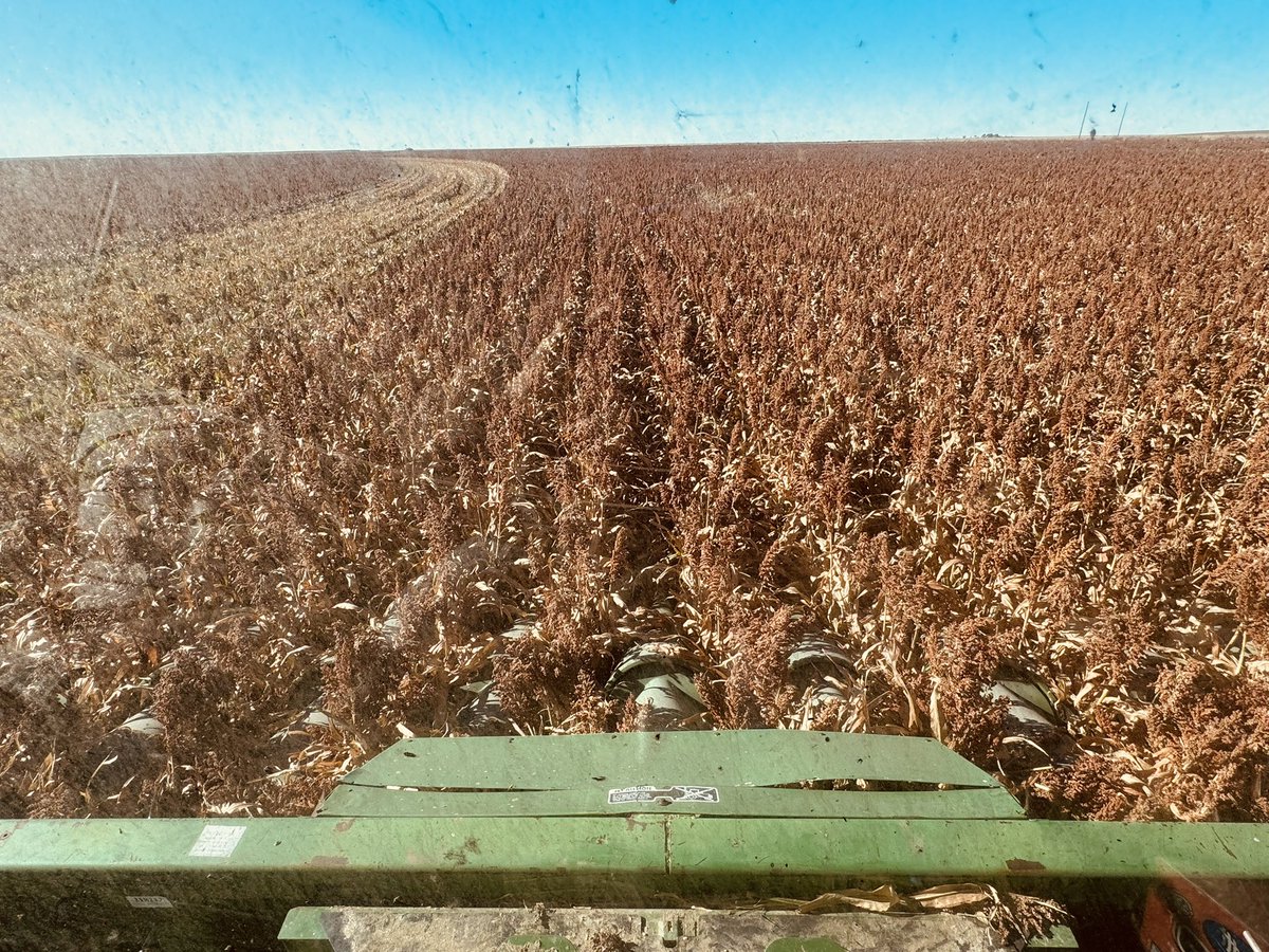 Jerod McDaniel tweet media