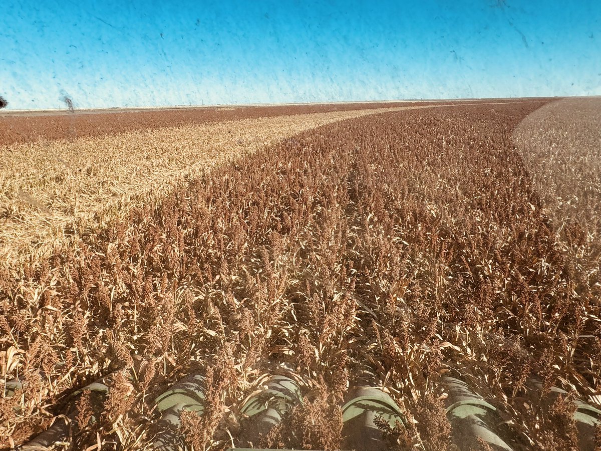 Jerod McDaniel tweet media