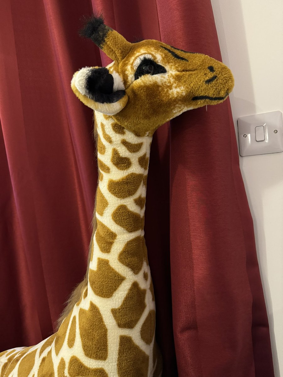 David Morecroft tweet media