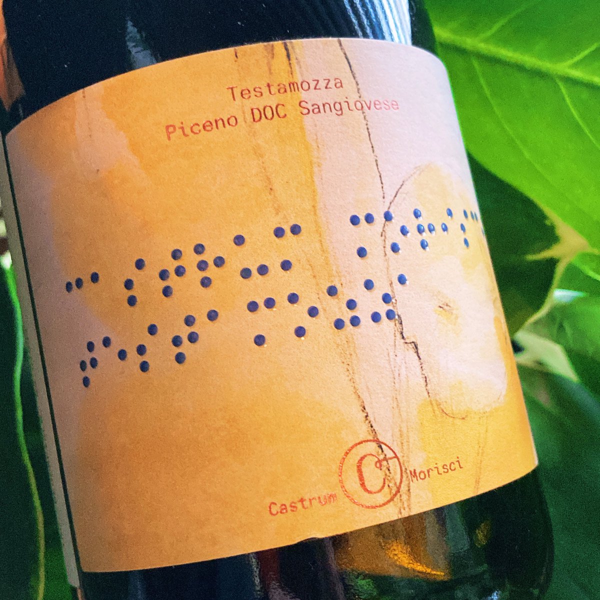 Beautiful natural Italian wines of Knit Wine Collective via <a href="/eklektikon/">eklektikon</a> this Friday 5-7pm. @castrummorisci @cantinamalena @vignaledicecilia