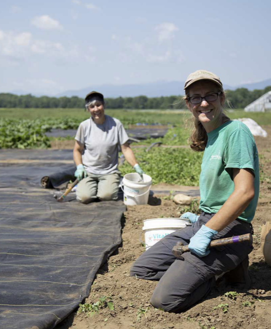 Our Trials Manager Taylor and her team oversee annual trials of more than 700 vegetable, herb, and flower varieties, searching for the next seeds to add to the High Mowing collection. 🌱🌱