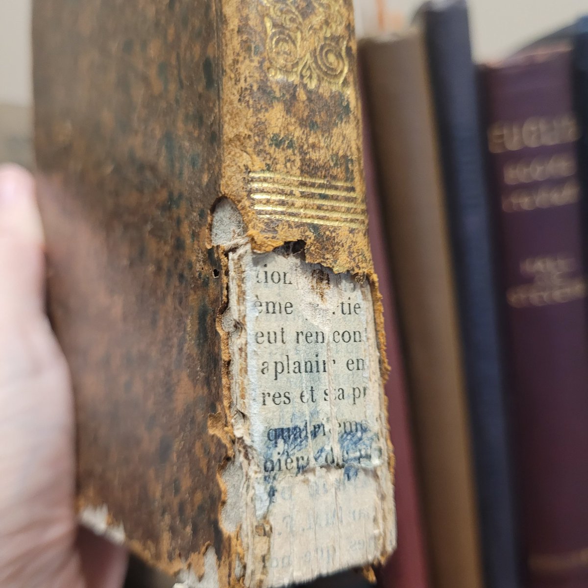 This charming little volume holds more than just stories—it reveals a glimpse into its own creation!
The bottom part of the spine is missing, exposing binder’s waste,  where scraps of recycled materials were used to strengthen the book during binding. [Simples Contes, 1836.]