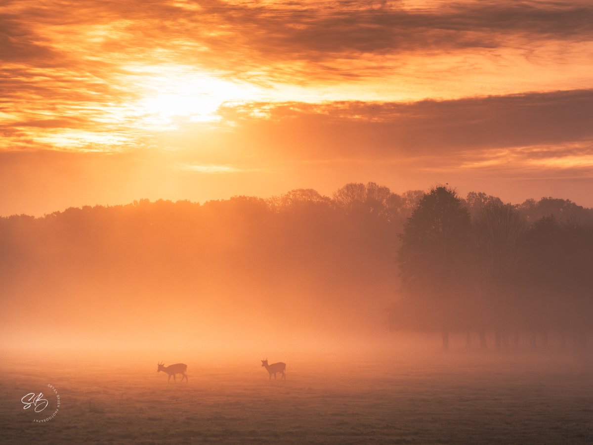 Class conditions in the Phoenix Park on Monday morning.