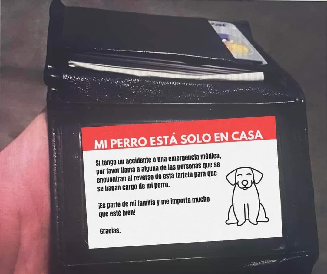 Podemos empezar a implementar esto 🙏🏽⤵️