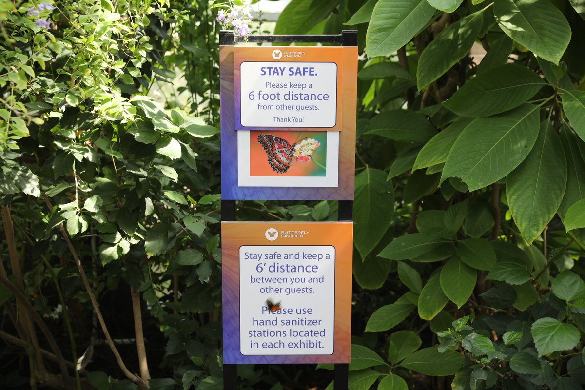 TDFPrint's tweet photo. We helped the @butterflypavilion in Westminster create exhibits for its invertebrate zoo that are informative, easy to read, AND fun to look at.

While also giving us the chance to support a nonprofit that focuses on species &amp; habitat education, research &amp; conservation globally. https://t.co/uiFjnglbRK