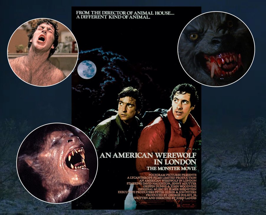 The Video Verdict tweet media