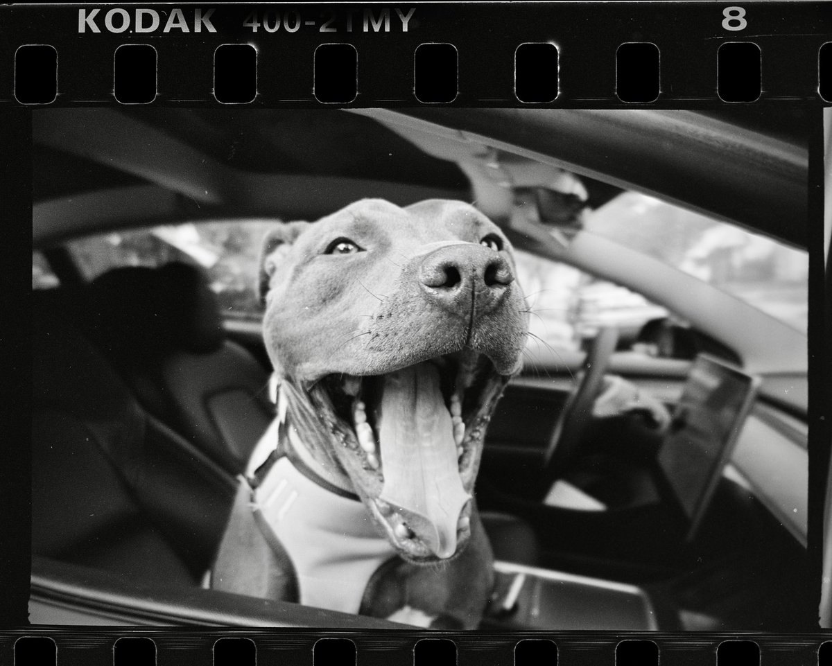 Gabriel Spangler tweet media