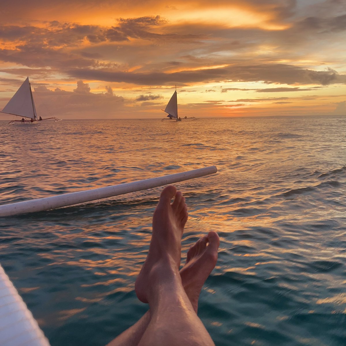 白袜牛 tweet media