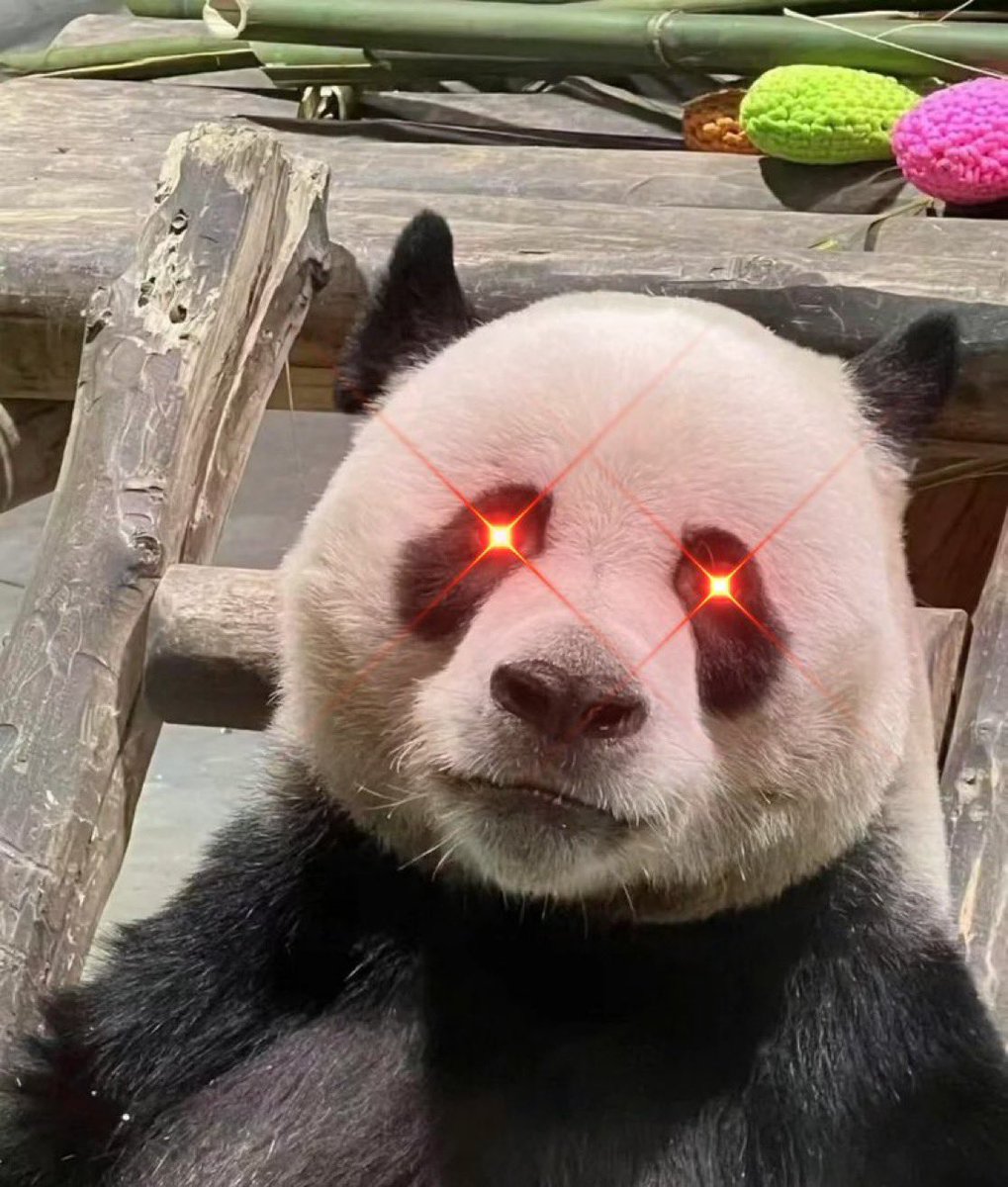 <a href="/moneylord/"></a> Don’t fade the panda 🐼

#LINGYAN is about to twerk out! 🐼🚀

<a href="/Lingyan_on_sol/">Lingyan | Fan Page</a> 
CA:

6ty746K8QZFpGGrimYHMsAfXQnewszEgPfT39atbpump