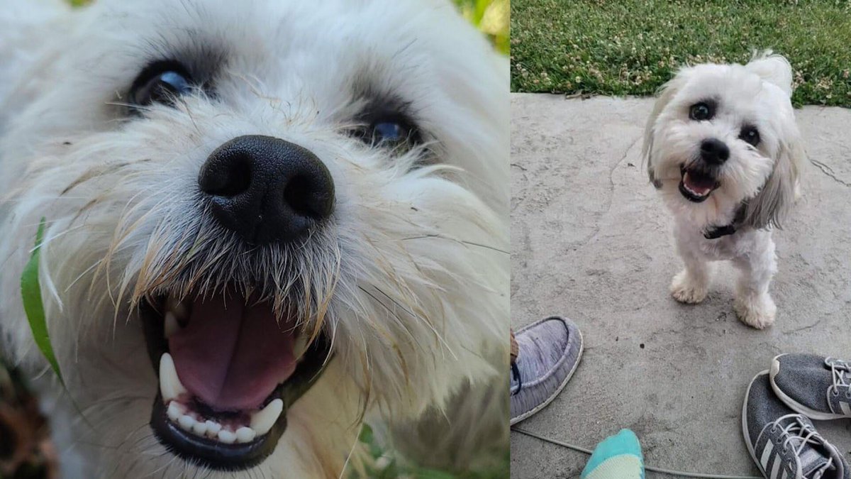 Sign the petition. 

Justice for $TEDDY 🤍