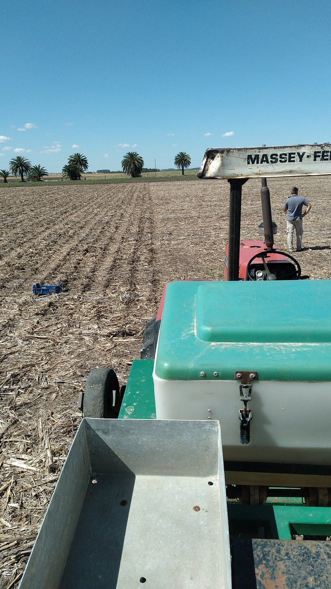quiqueferrari's tweet photo. Otra localidad más de Evaluación Nacional de Cultivares de soja sembrada.

Hoy sembramos Dolores con este equipazo!

A nivel de ensayo se están evaluando 96 cultivares entre los GM 4.6 y 7.5 de 6 eventos transgénicos disponibles en el mercado uruguayo e incluso variedades no OGM. https://t.co/seF0y5jLwo
