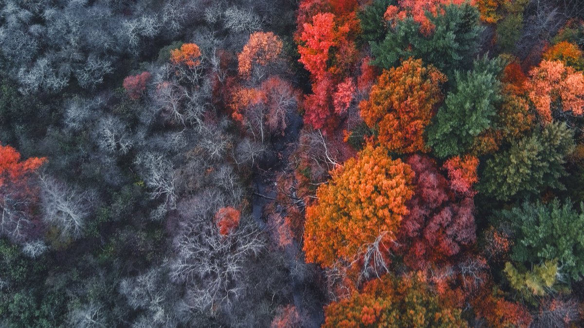 potensicdrones's tweet image. The joyful laugh of a little angel melts away all worries. 🥰🥰🥰A little princess in a Potensic cap enjoys a joyful time with Justin, who once captured the stunning contrast of vegetation on either side of a stream. 🥰🧚‍♀️
#potensicatom #sweetmoments #littleprincess #familytime