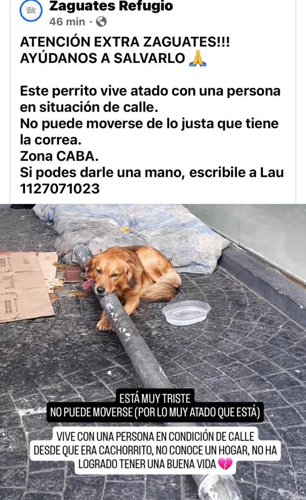 Difundimos