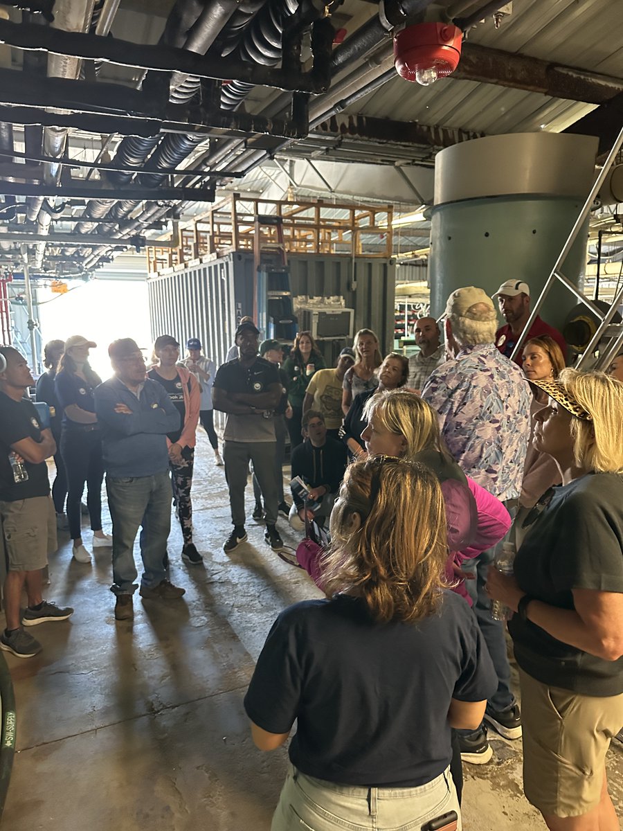 HubbsResearch's tweet photo. Grateful for the fantastic turnout at our NetWalk and tour of the HSWRI Hatchery! Thanks to #High Five Coaching for guiding us & #Jersey Mike’s of Carlsbad for generously donating sandwiches. Your support means the world! #HSWRI #NetWalk #CommunityBuilding #ThankYou https://t.co/0fIytpCEND