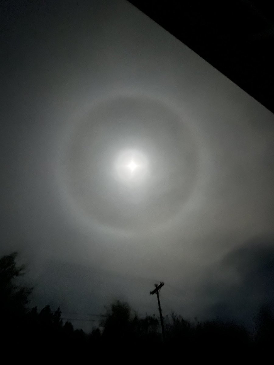 Wesley Lape tweet media