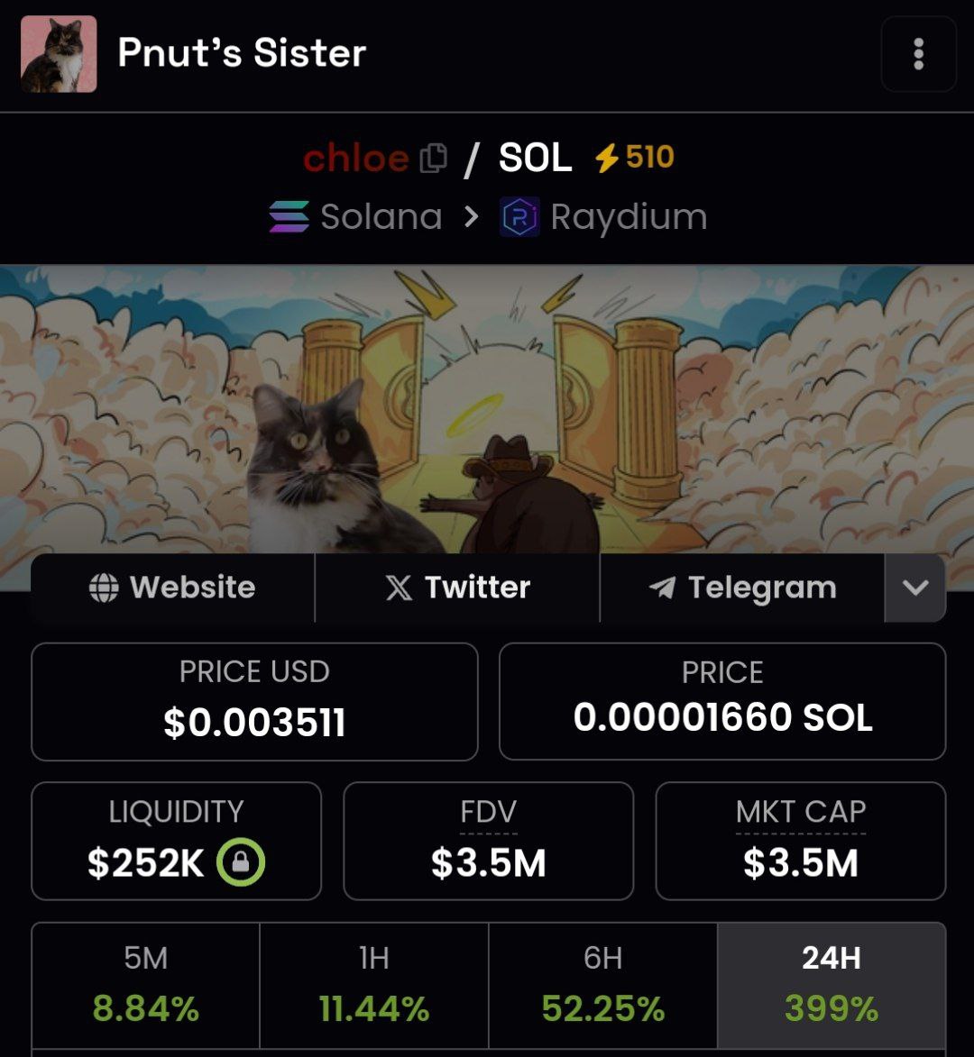 $CHLOE is here to stay!

Our community holders just payed a 500 boost on Dexscreener and "GOLDEN" tick for our Twitter page!

$PNUT we will follow your footsteps little brother!