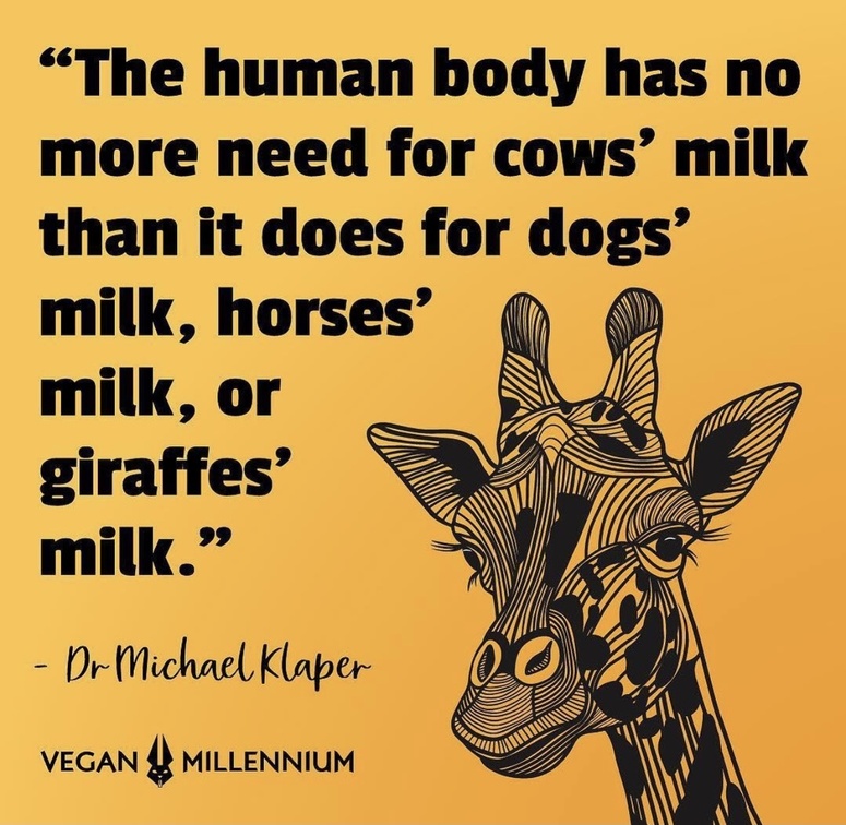 veganfuture's tweet photo. https://t.co/fbv0WHW0Yb