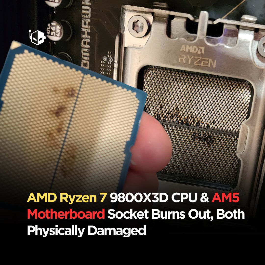 AMD's Ryzen 7 9800X3D CPU has witnessed the first case of it