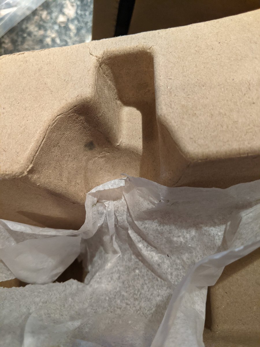 killedbykgb's tweet photo. @HaloGear can we talk? I'm not exactly thrilled with the condition of Buck on arrival. The shipping protection didn't do the job as well as any of us had hoped, and rubbed the paint off the helmet. https://t.co/RPV6DYPOx4