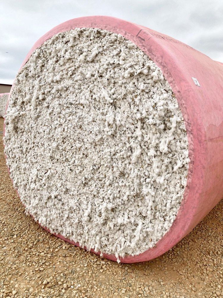 LCSforKids's tweet image. Our 5th grade students spent last week learning about cotton and the many uses of it. As part of their lesson, they took a field trip to the cotton gin at the Associated Growers Co-Op where they learned what happens from the time the cotton arrives until it's shipped out.