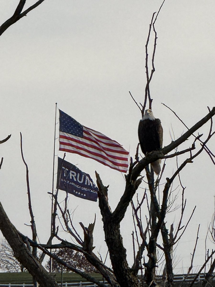 bryan14dickson's tweet photo. My mom started flying a giant Trump flag under her American flag the day after Trump’s indictment and today we captured these pictures. #MAGA https://t.co/FV8Hw0bGpE