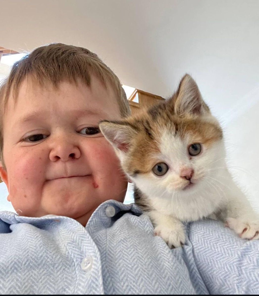 $BARSIK is the ticker.

The most memeable person alive is paying honorary to his cute cat that just passed away.

We all love Hasbulla.

We all love $BARSIK.

CA: 7ZqzGzTNg5tjK1CHTBdGFHyKjBtXdfvAobuGgdt4pump

<a href="/hasbulla_main/">Hasbulla</a> <a href="/HasbullaHive/">HasbullaHive 🐐</a>