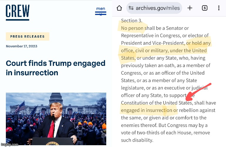Fact: Trump is CONSTITUTIONALLY DISQUALIFIED from taking office. The miniscule number of Americans who seem to understand or even care about this, is probably the most unnerving thing I've ever seen in my life.
