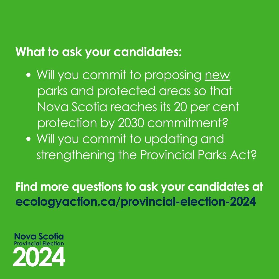 This election, make protected areas part of the conversation ✅️
 
The EAC has developed a voter toolkit to help you talk to candidates about seven important environmental issues – like better protections for our wild spaces🌲
 
Get the full toolkit at ecologyaction.ca/provincial-ele…