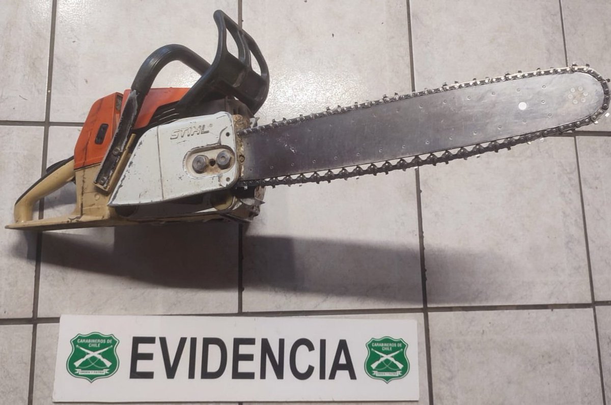 CarabLosRios's tweet photo. En predio forestal del sector rural Curaco en #Lanco, Carabineros del Retén #Malalhue detuvo a 2 adultos que fueron sorprendidos sustrayendo madera en 2 camionetas. Motosierra utilizada en el ilícito fue incautada. 
#OrdenyPatria https://t.co/nOXAGNTbrd