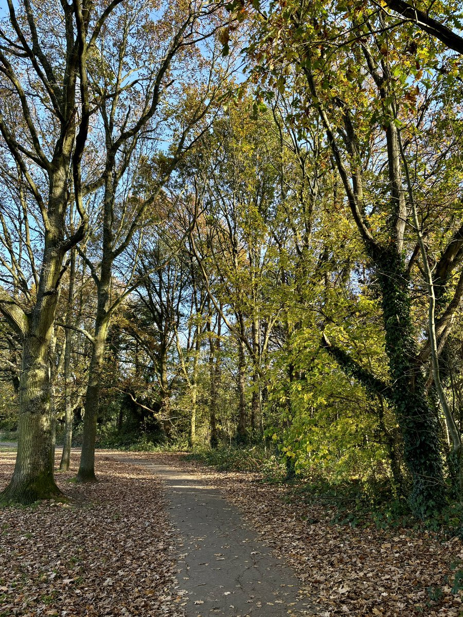 icerowe's tweet image. #3Positives for today 

1. Bought a stranger a book on #WorldKindessDay 📖 

2. After a phone call, several online chats and emails, successfully sorted an IT issue out that I’ve been stressing about 😮‍💨 

3. Good to be back running, felt good and nice pace and chats tonight 🏃🏻‍♀️