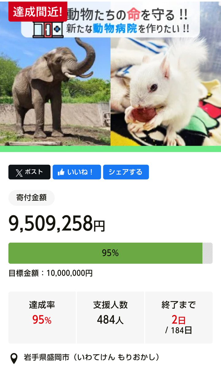 残り2日となった現在、950万円を突破しました。
多くの皆様のご支援と多くの拡散、そして応援のおかげです。
平成元年の開園からずっと大切にしてきた「地域の身近な動物たちを大切にする心を育てる」という想いを引継ぎ、理念「One World　One Health」を体現する動物病院を、自然豊かな岩手、盛岡に