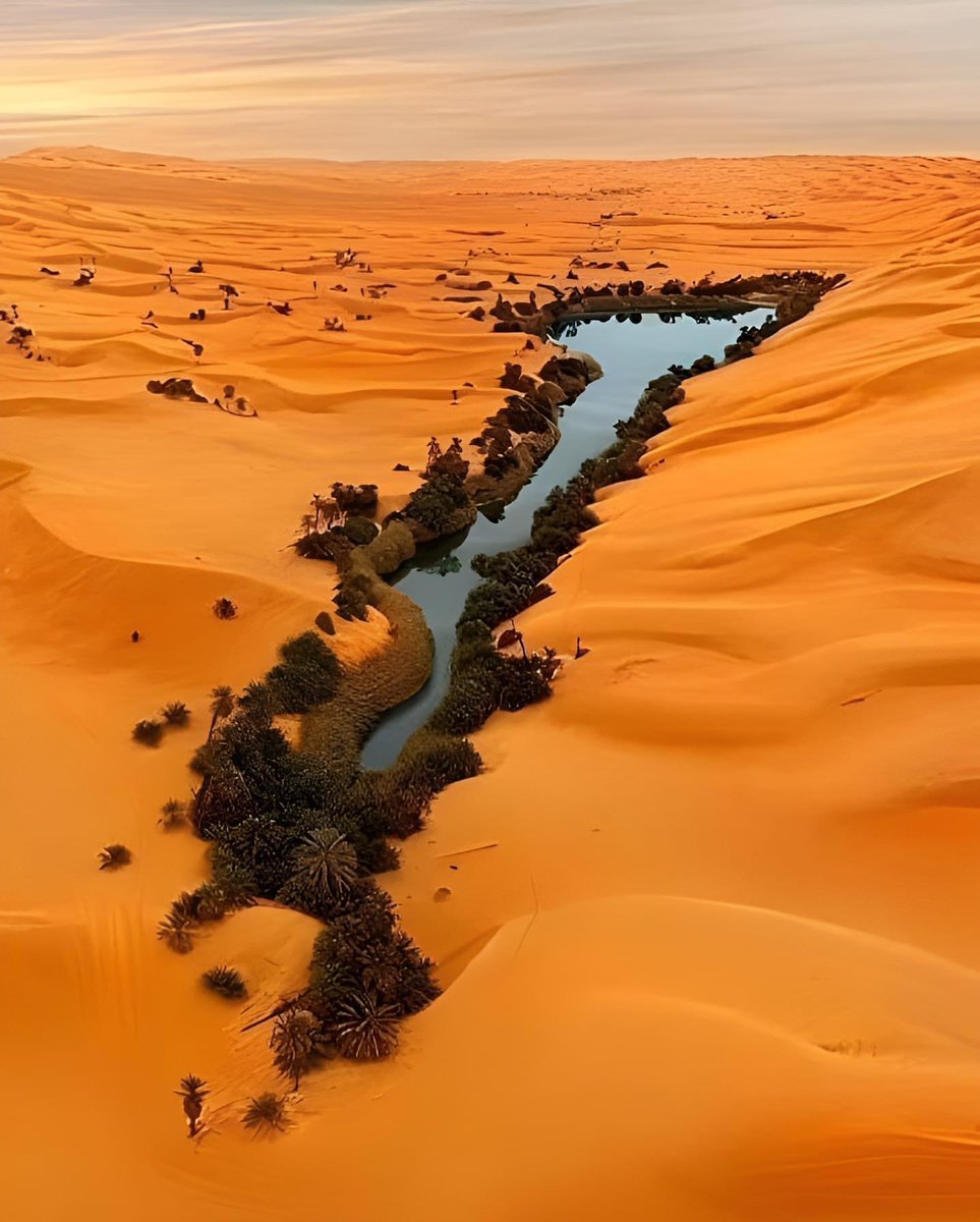 SemExcellence's tweet photo. Le Tchad est Beau 🇹🇩 https://t.co/28C2zU38wK