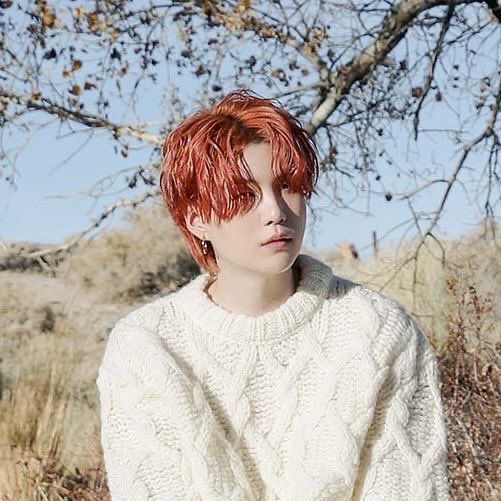 🐦‍⬛ tweet media