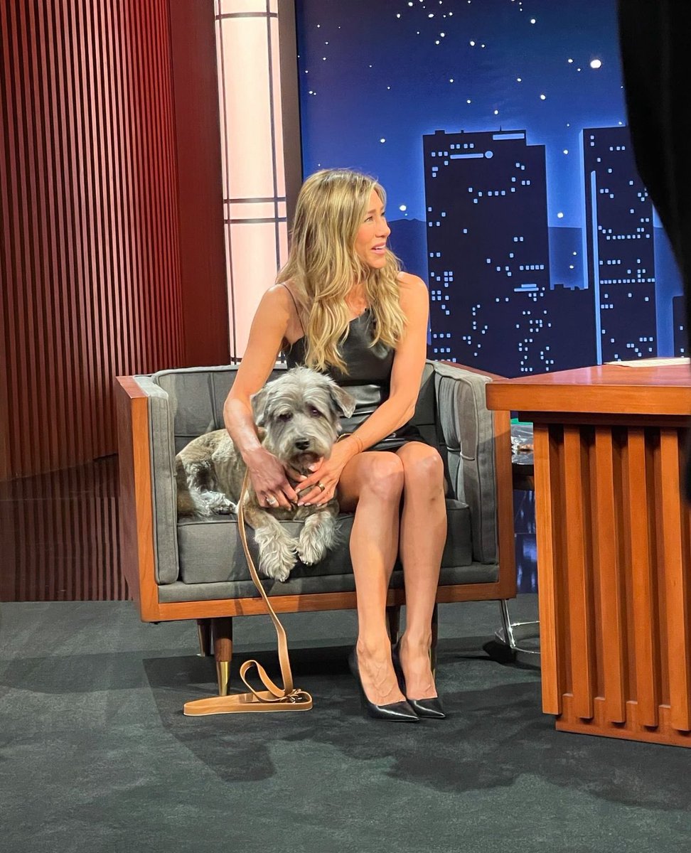 Jeaniibae's tweet photo. Clyde’s big night out with @jimmykimmel https://t.co/qS9KrytHjo