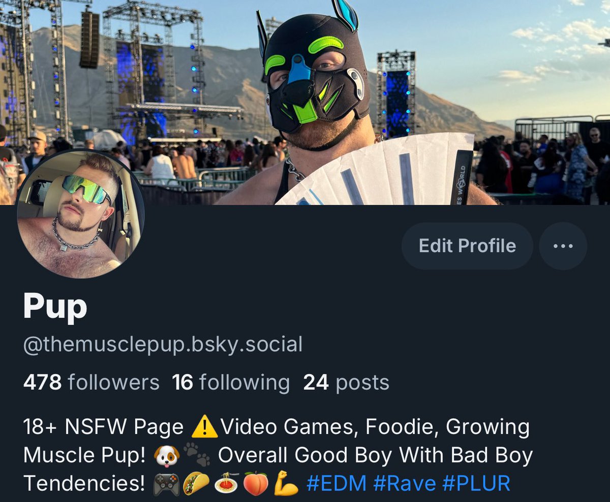 Pup Rekt tweet media