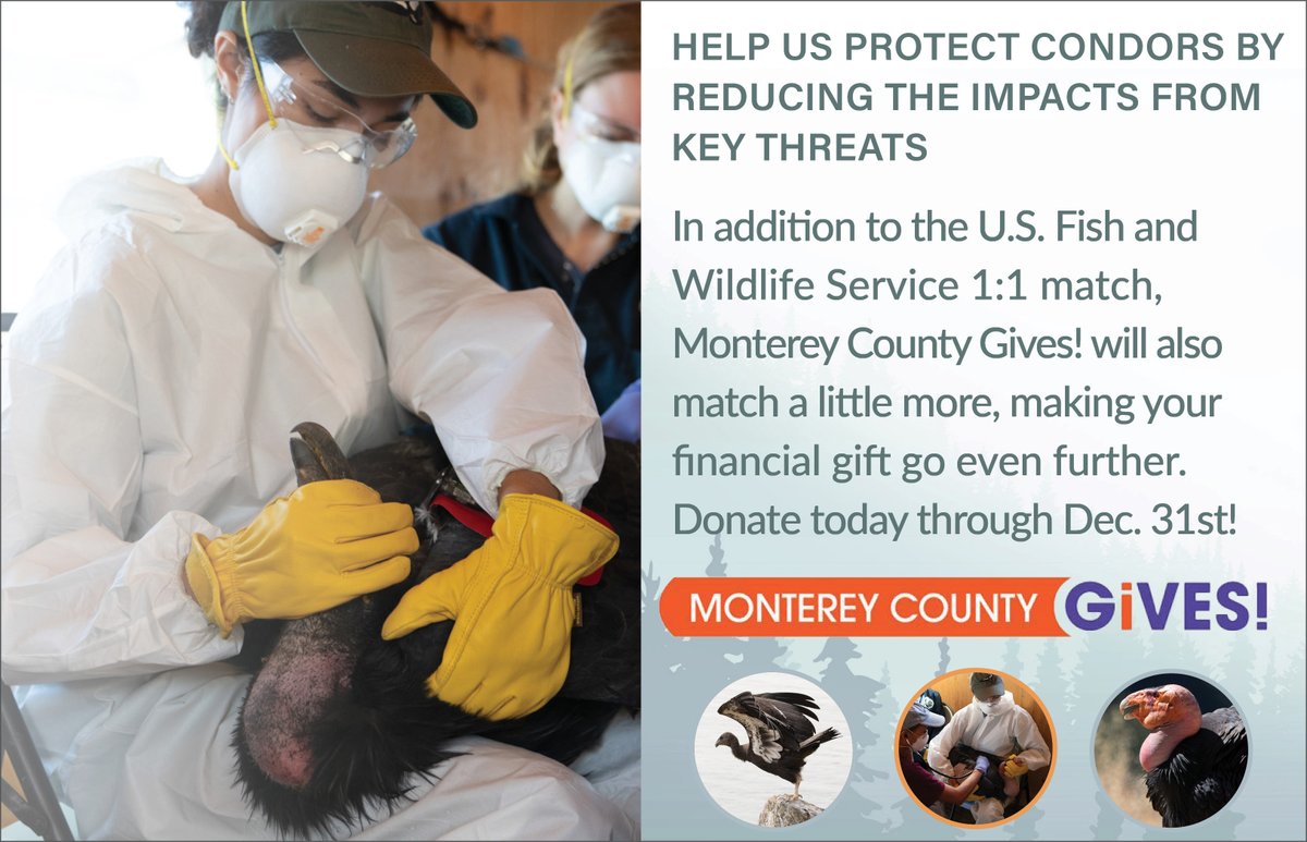 Ventana Wildlife Society tweet media